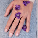 Hortencia 15ml